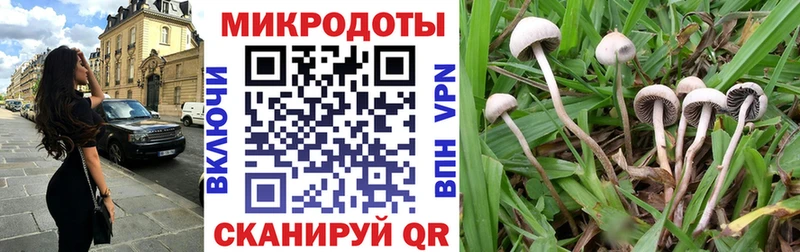 omg зеркало  даркнет сайт  Игарка  Галлюциногенные грибы ЛСД 